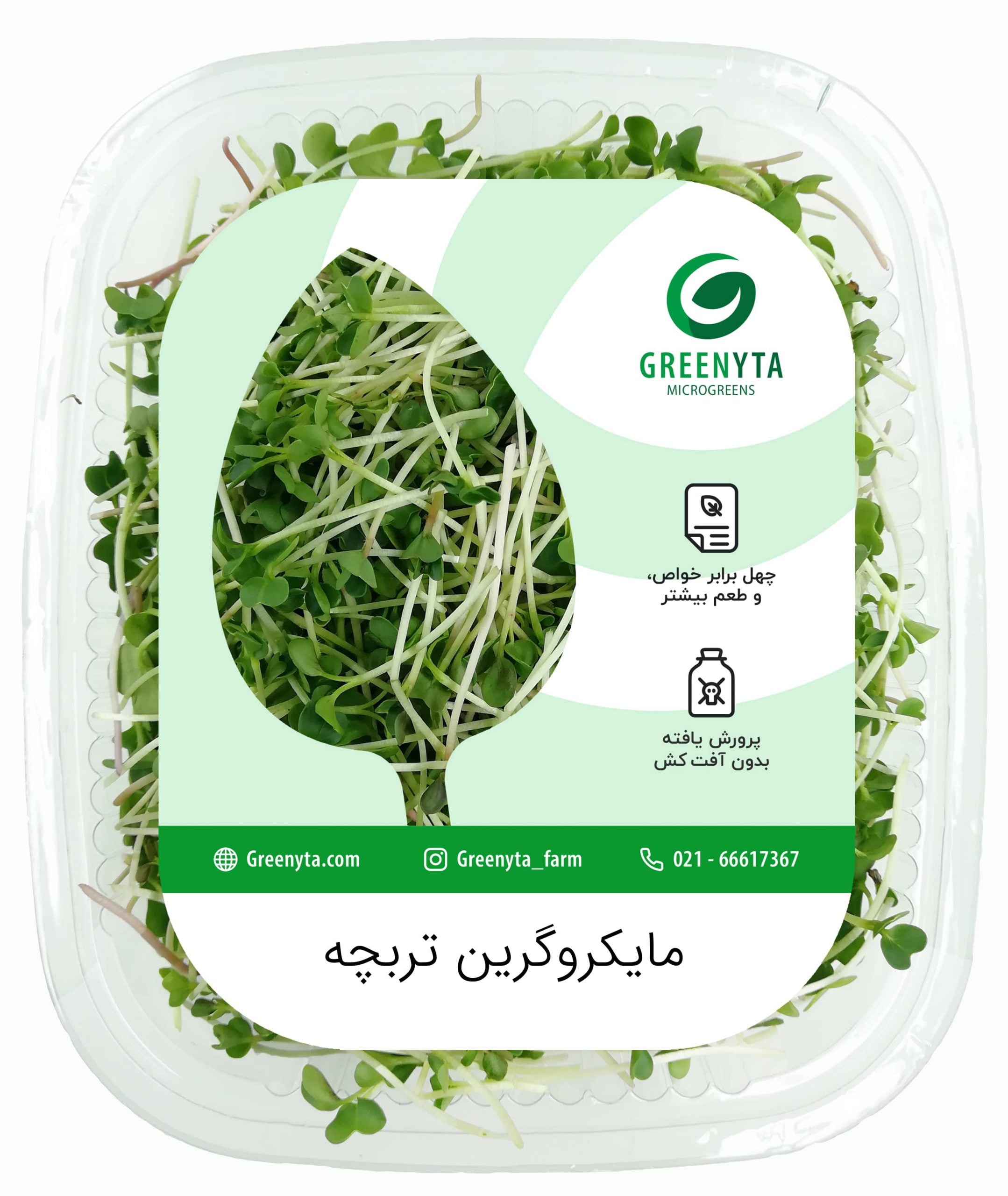 میکروگرین تربچه