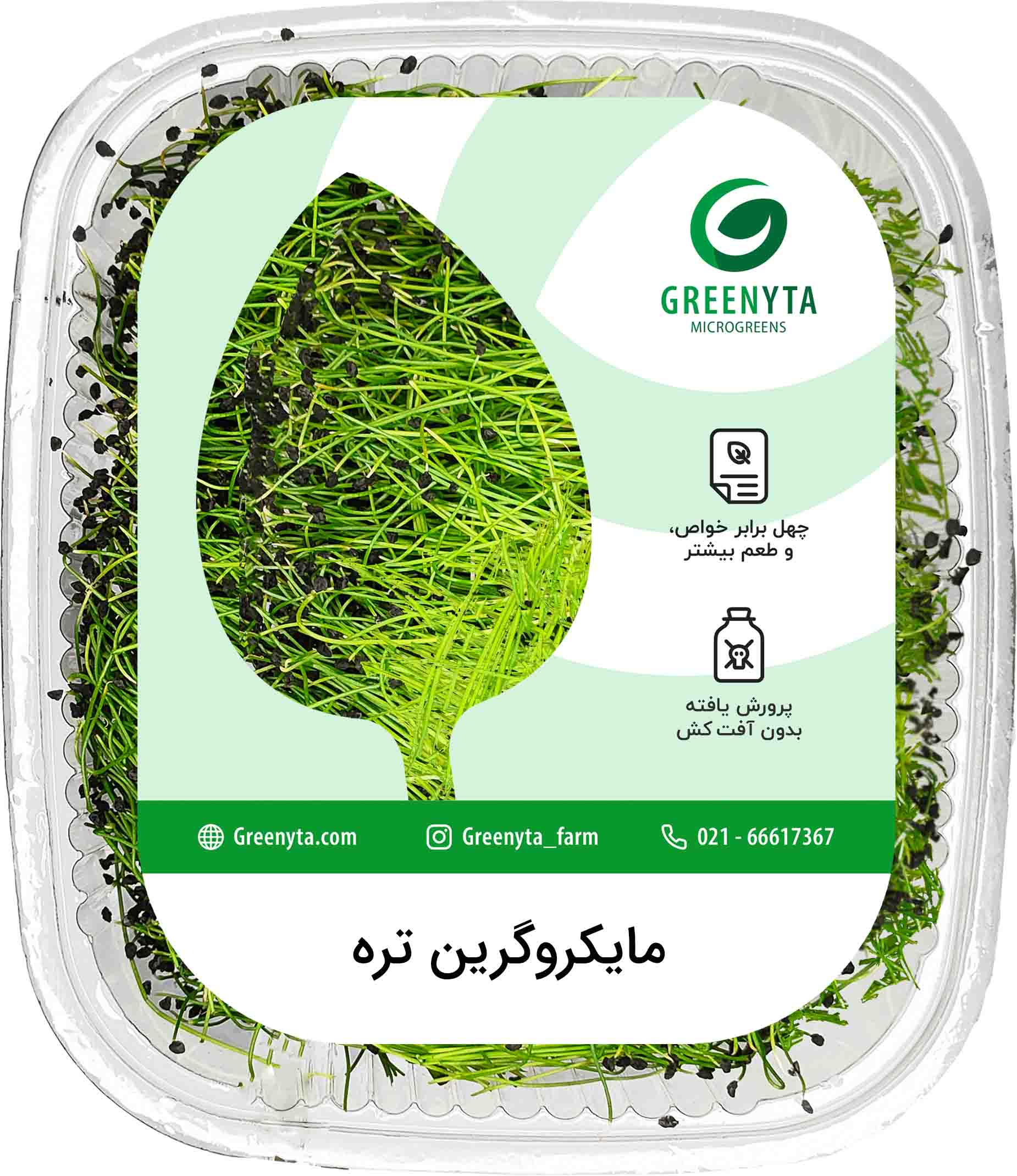 خرید مایکروگرین تره