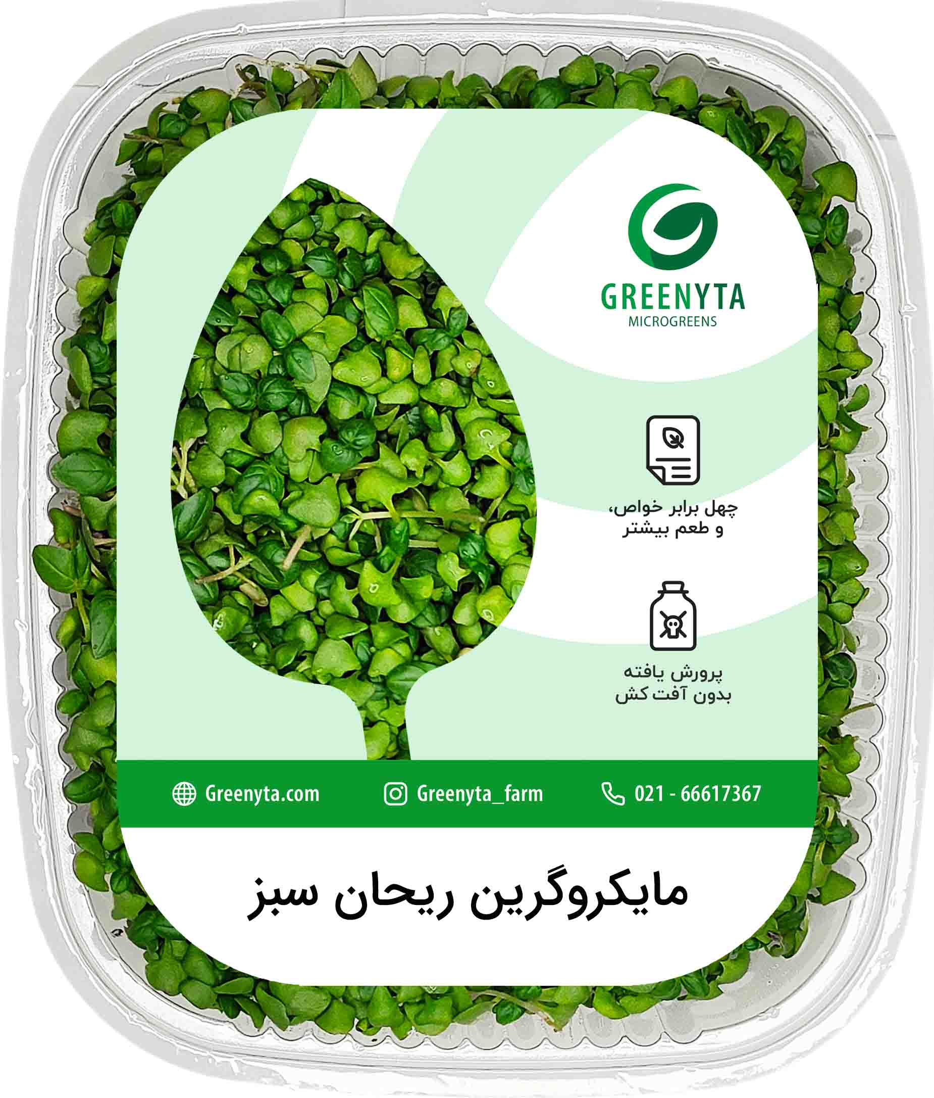 خرید مایکروگرین ریحان سبز