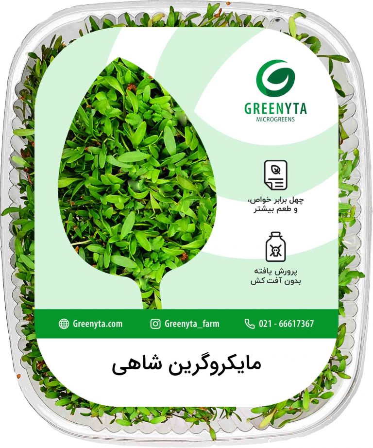 مایکروگرین شاهی