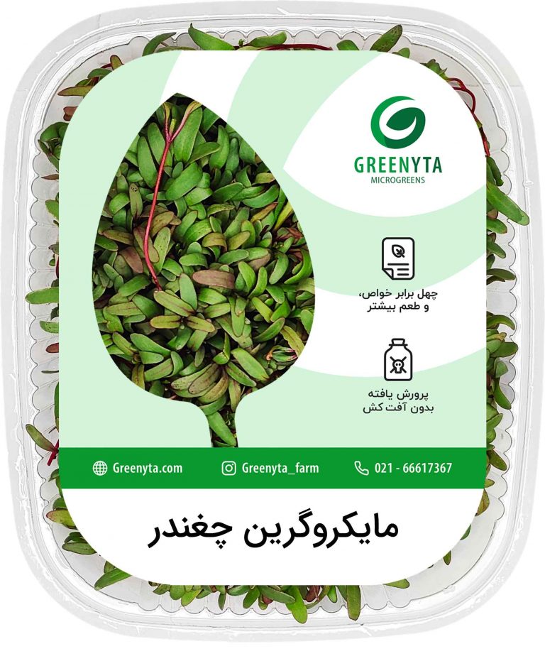 مایکروگرین چغندر