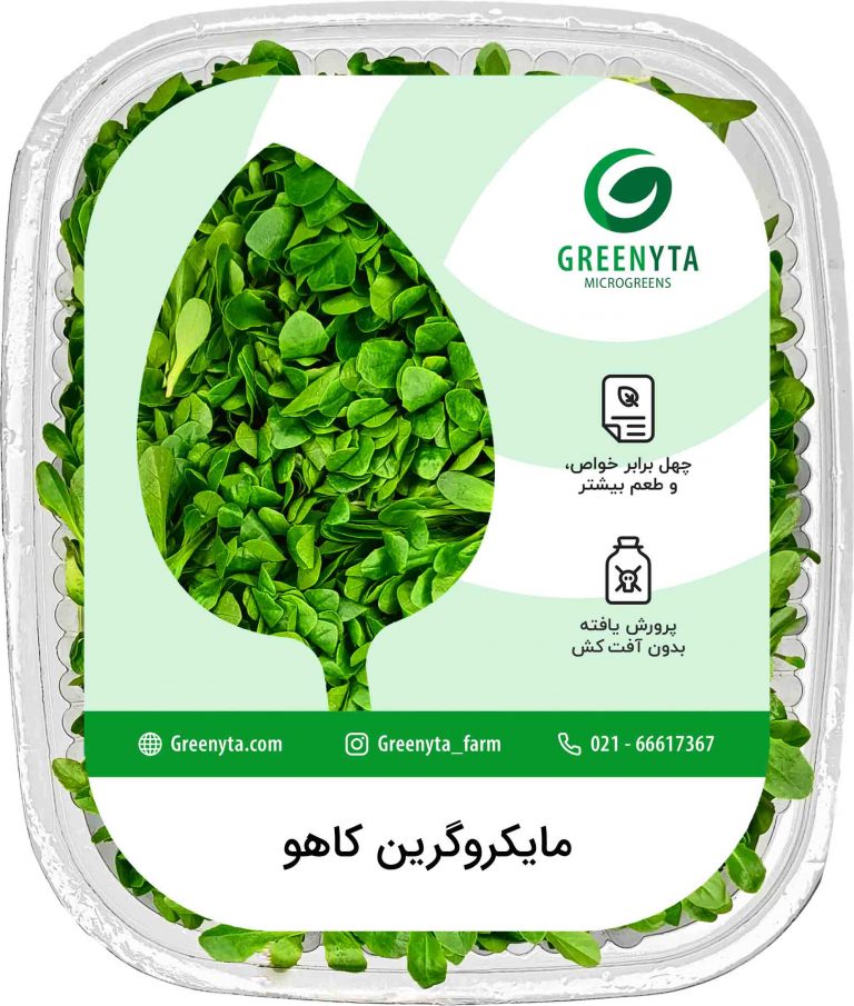مایکروگرین کاهو